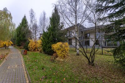 photo 6913143f00832_thumb.jpg