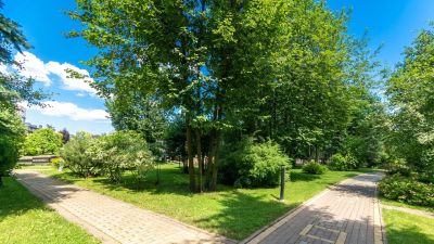 photo 6707b42e706d8_thumb.jpg