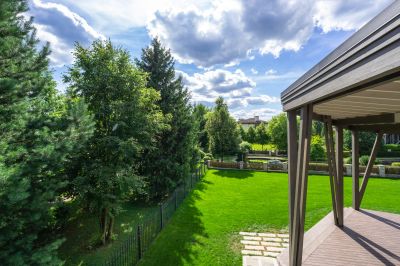 photo 69130e54ed1ca_thumb.jpg