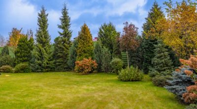 photo 654217a961dc5_thumb.jpg