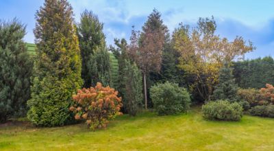 photo 654217a9b5875_thumb.jpg