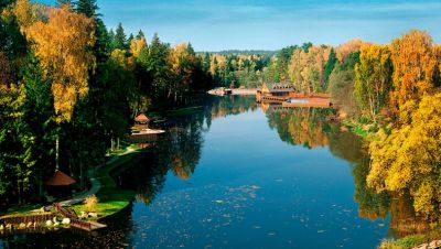 photo 654217ab1ca9e_thumb.jpg