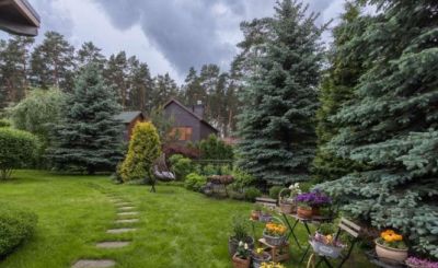 photo 6554ca4c76c35_thumb.jpg