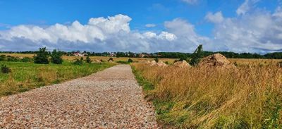 photo 655c99ce9e4fc_thumb.jpg