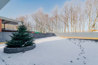 photo 67beb4e339ffa_thumb.jpg