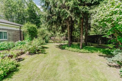 photo 6683eab0a1589_thumb.jpg