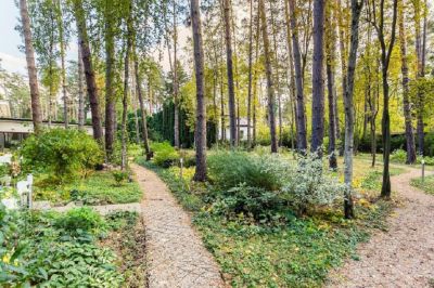 photo 65802e58276e4_thumb.jpg