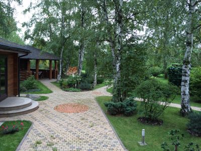 photo 6583ffbc0cff9_thumb.jpg