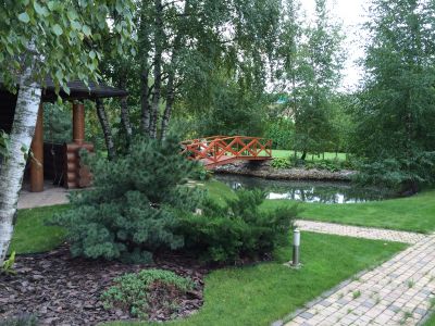 photo 6583ffc2bac36_thumb.jpg