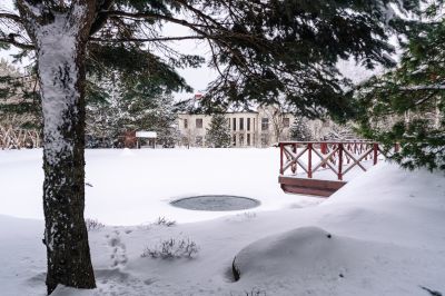 photo 65ae1b6385aaa_thumb.jpg