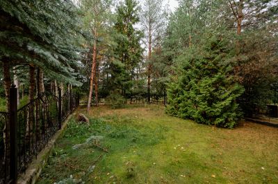 photo 11351_63bdc0fe59d5a_thumb.jpg