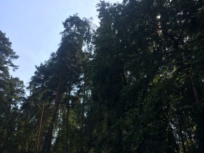 photo 11352_63bdc20b21814_thumb.jpg