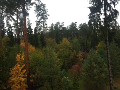 photo 11352_63bdc20d07b19_thumb.jpg