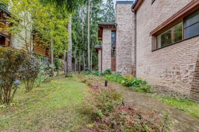 photo 11353_63bdc2d51605e_thumb.jpg