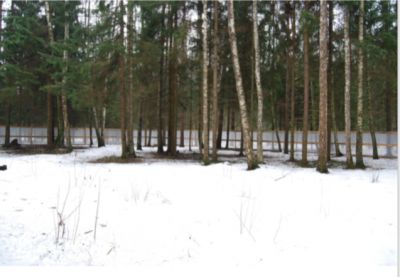 photo 11359_63bddd9f170f2_thumb.jpg