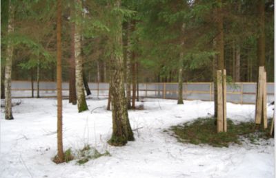 photo 11359_63bddda034564_thumb.jpg