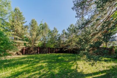 photo 683d5c42c9b4d_thumb.jpg