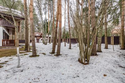 photo 11364_63bdd7398d87b_thumb.jpg