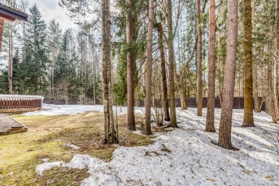 photo 11364_63bdd745943f7_thumb.jpg