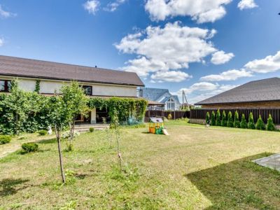 photo 11365_63bdd5d69cf55_thumb.jpg