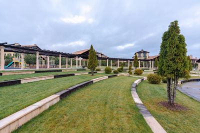 photo 11371_655767a579211_thumb.jpg