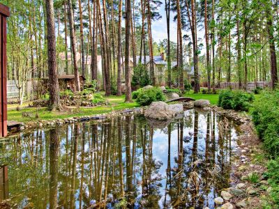 photo 11372_63be56bb70fe8_thumb.jpg