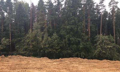 photo 11378_65a7c78fba301_thumb.jpg