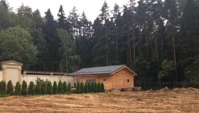 photo 11378_65a7c7922302e_thumb.jpg