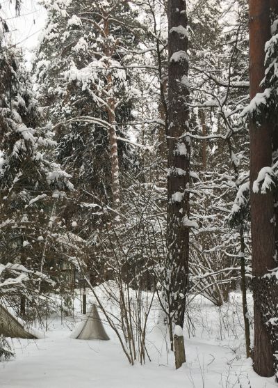 photo 11402_63be0a77219ce_thumb.jpg