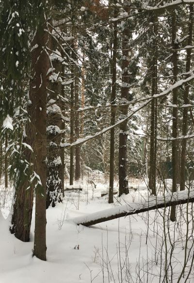 photo 11402_63be0a787c610_thumb.jpg