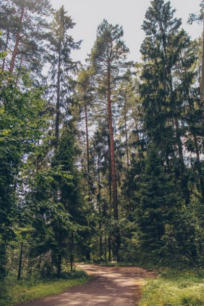 photo 11402_63be0a7a8e6ac_thumb.jpg