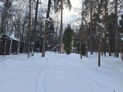 photo 65b75da3f08ef_thumb.jpg