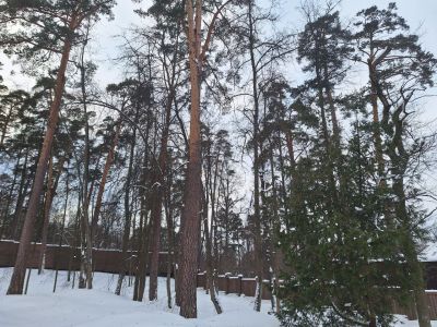 photo 65b75daea9fad_thumb.jpg