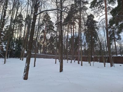 photo 65b75db48c8bd_thumb.jpg