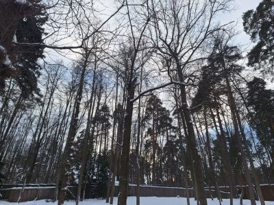 photo 65b75dbfbbaf3_thumb.jpg