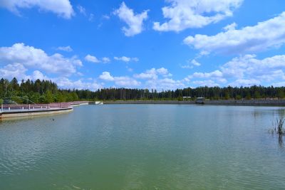 photo 11416_63bdcbb664474_thumb.jpg