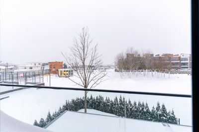 photo 65e5838ca0cb8_thumb.jpg