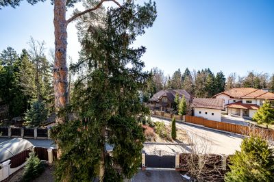 photo 67ea9a3a22557_thumb.jpg