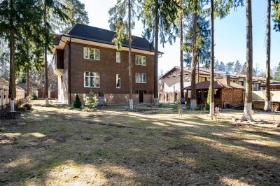 photo 67ea9b0cbd07c_thumb.jpg