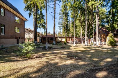 photo 67ea9b4881ed5_thumb.jpg