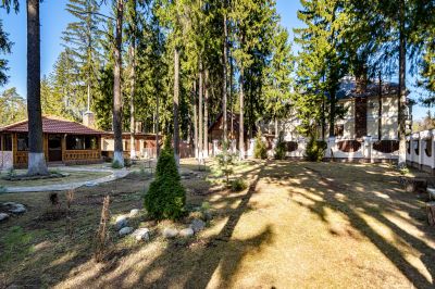 photo 67ea9b4c011db_thumb.jpg