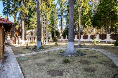 photo 67ea9b556cf5f_thumb.jpg