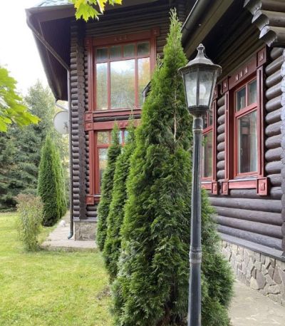 photo 65c604d3675fb_thumb.jpg