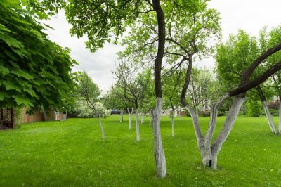 photo 65cdeea0b5ffd_thumb.jpg