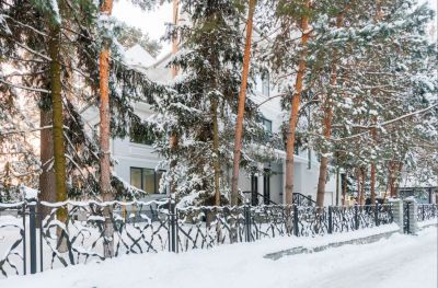 photo 67b44655cd13d_thumb.jpg