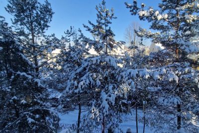 photo 67b450a5ebecd_thumb.jpg