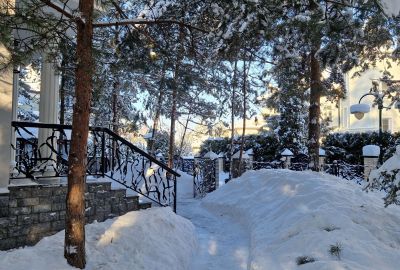 photo 67b450d042c5e_thumb.jpg