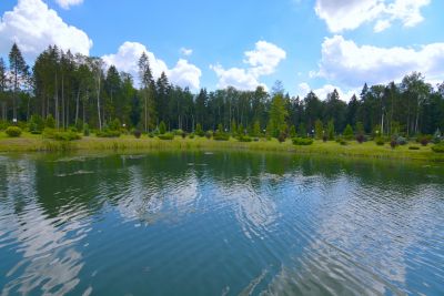 photo 65df17a63aa0f_thumb.jpg