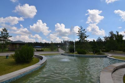 photo 65df17a77f895_thumb.jpg