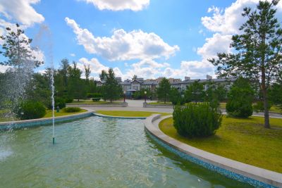 photo 65df17a81e6f2_thumb.jpg